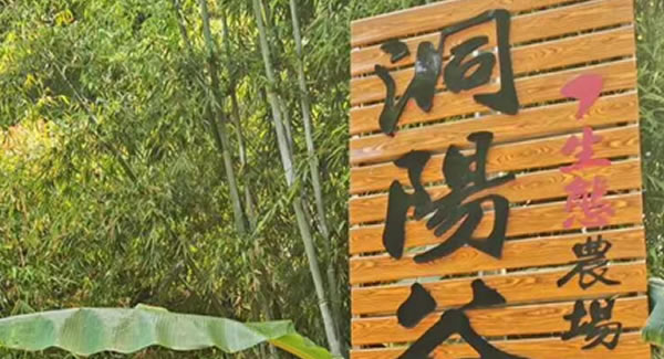 廣有合頁2019踏春拓展--經(jīng)歷中成長，成長中經(jīng)歷