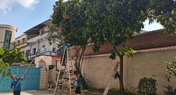 廣有儲良龍眼，詮釋濃情盛夏|廣有五金&東莞合頁