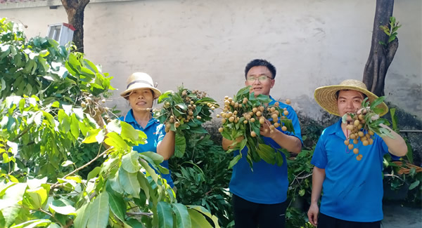 摘一顆龍眼，品一份團圓，謝一次饋贈 | 廣有五金&東莞合頁?